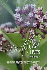 Distilled Lives, volume 7